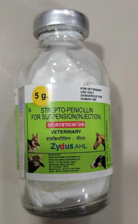 DICRYSTICIN DS INJ