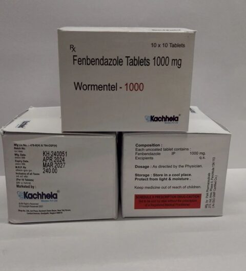 1000MG WORMENTEL Tablet