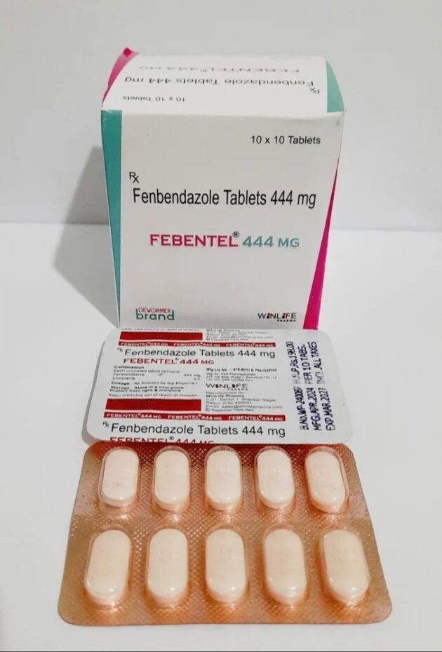 444MG FEBENTEL TAB - Image 3