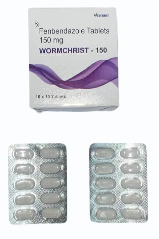 150MG WORMCHRIST Tablet - Image 2