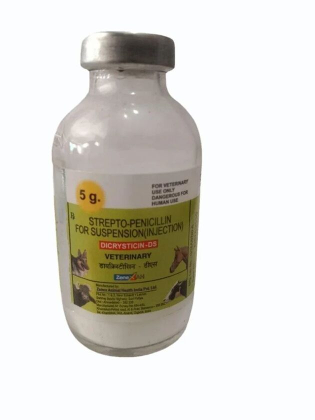 DICRYSTICIN DS INJ - Image 2