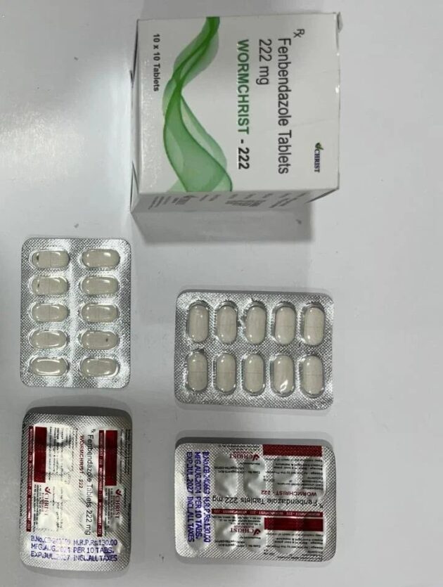 222MG WORMCHRIST Tablet - Image 2