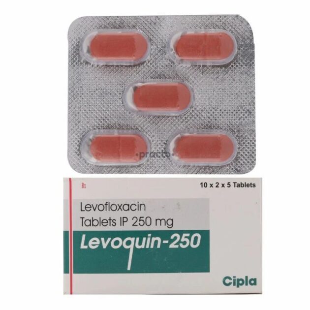 250MG LEVOQUIN TAB - Image 3