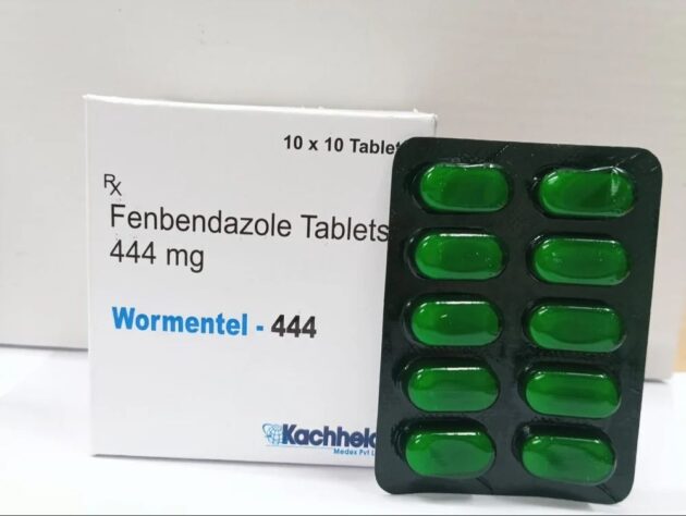 444mg Wormentel Tab - Image 3