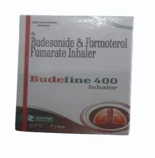 1MG 2ML BUDEFINE RES - Image 3
