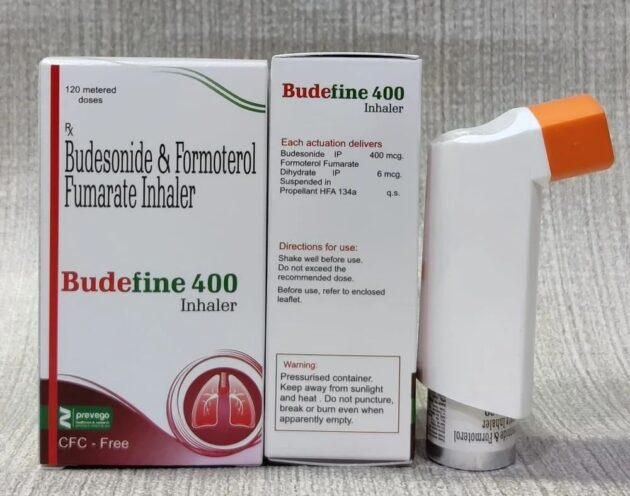 1MG 2ML BUDEFINE RES - Image 2