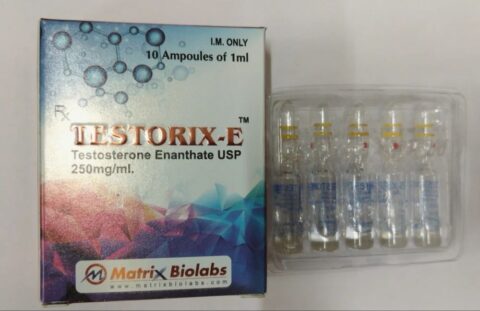1ML TESTORIX E INJ