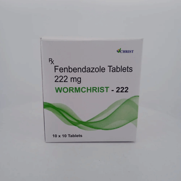 222MG WORMCHRIST Tablet - Image 3