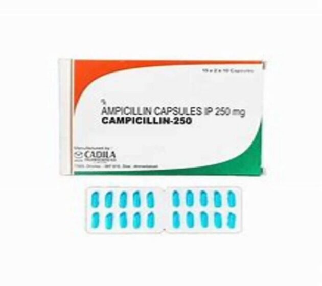 250MG CAMPICILIN CAP - Image 2