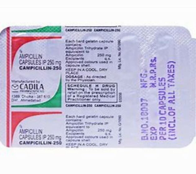 250MG CAMPICILIN CAP - Image 3