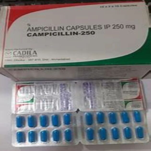 250MG CAMPICILIN CAP - Image 4