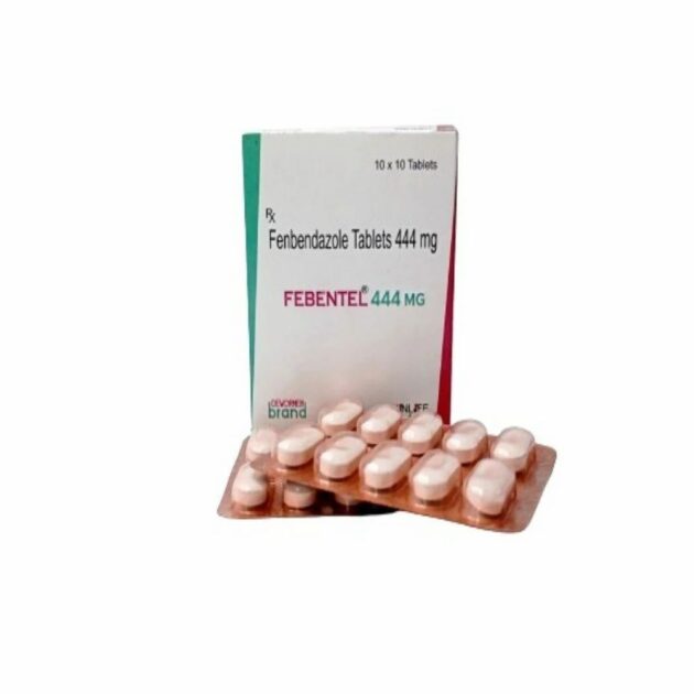 444MG FEBENTEL TAB - Image 2