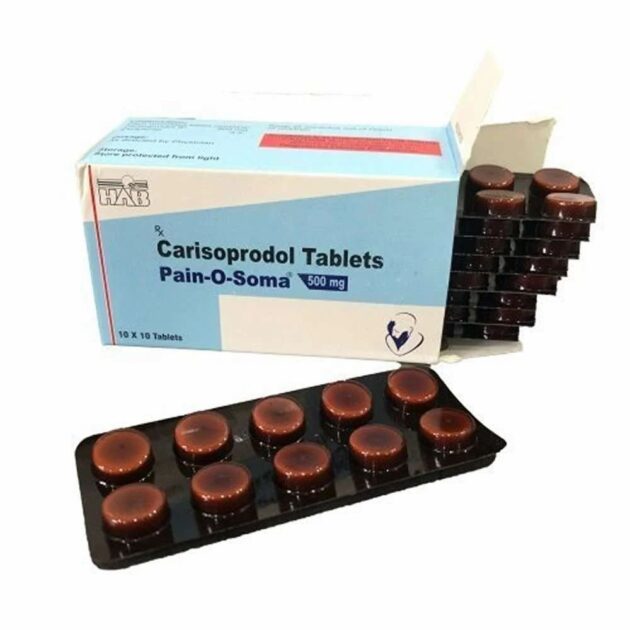 500MG PAINOSOMA TAB - Image 4