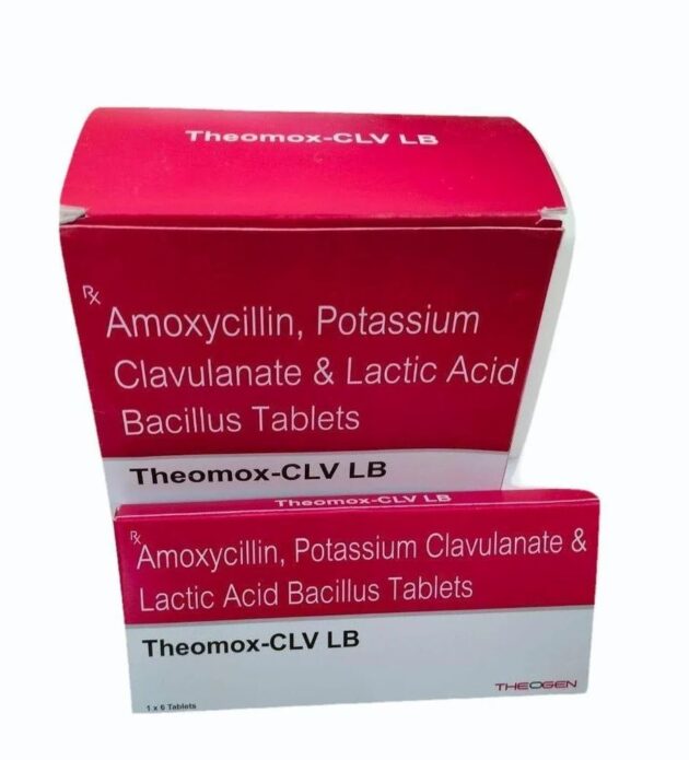 500MG THEOMOX TAB - Image 3