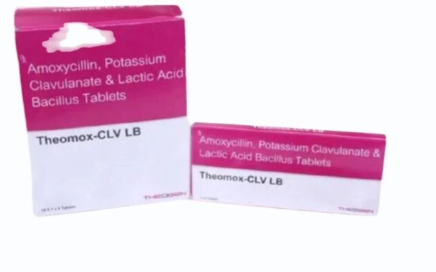 500MG THEOMOX TAB - Image 4