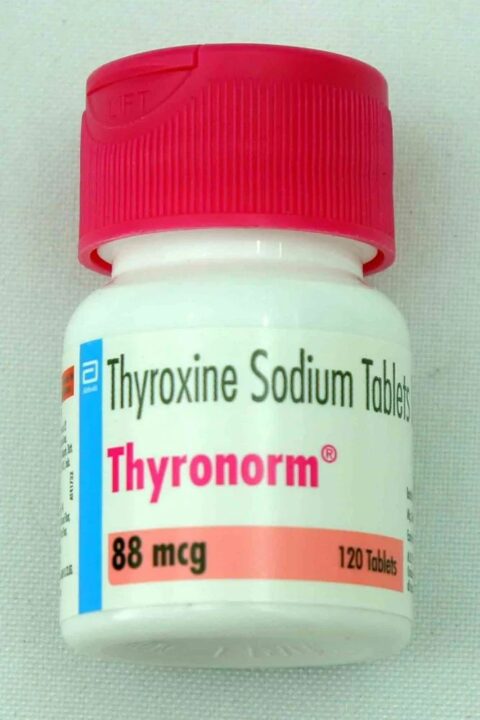 88MG THYRONORM TAB