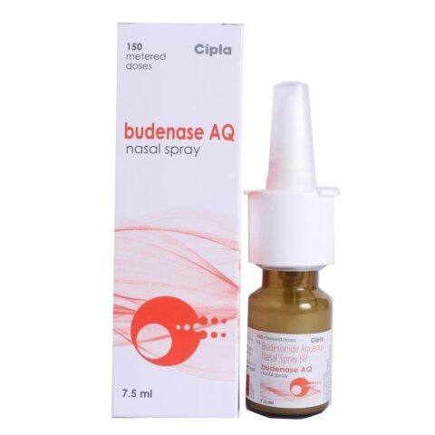 BUDENASE AQ SPRAY