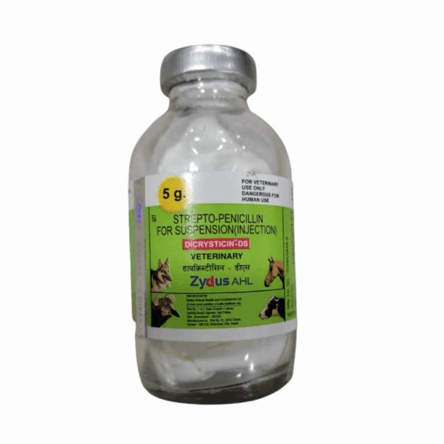 DICRYSTICIN DS INJ - Image 3