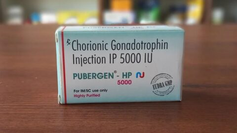 PUBERGREN HP 10000IU INJ