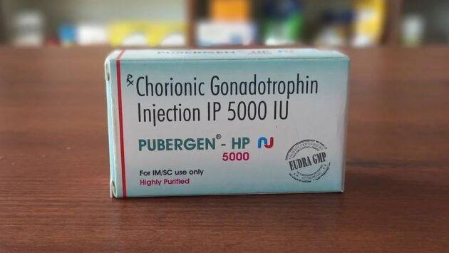 PUBERGREN HP 10000IU INJ