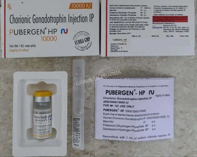 PUBERGREN HP 10000IU INJ - Image 4