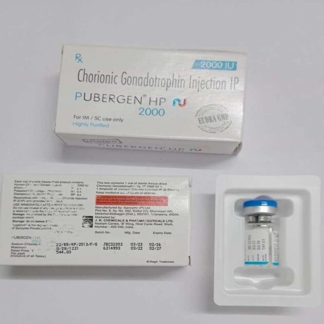 PUBERGREN HP 2000IU INJ - Image 3