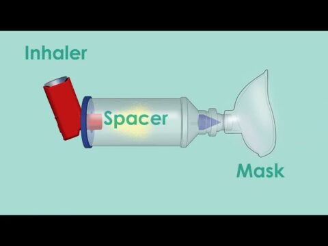 Foracort 100mg Inhaler and Rotocap